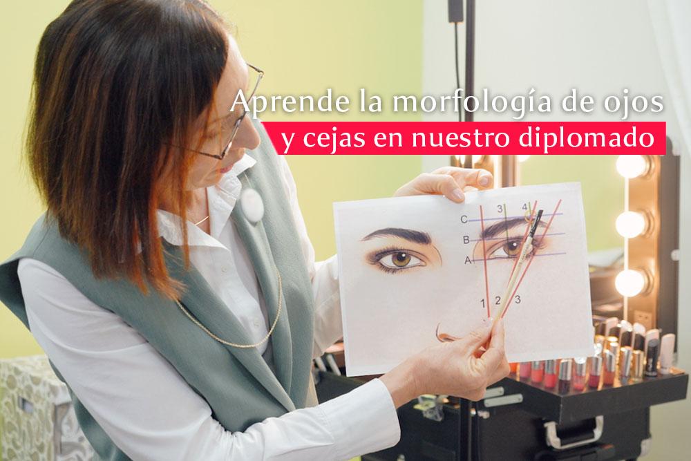 Morfología de ojos y cejas que aprenderás en el Diplomado Aprende Institute