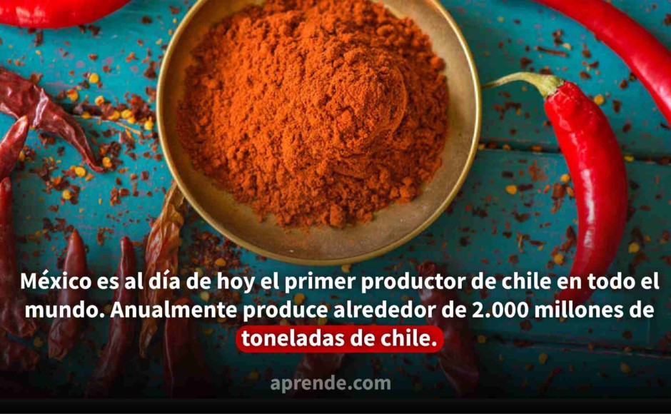 tazon con chile en polvo acompañado de la importancia del chile para mexico