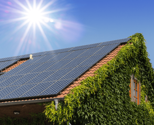 Independencia eléctrica