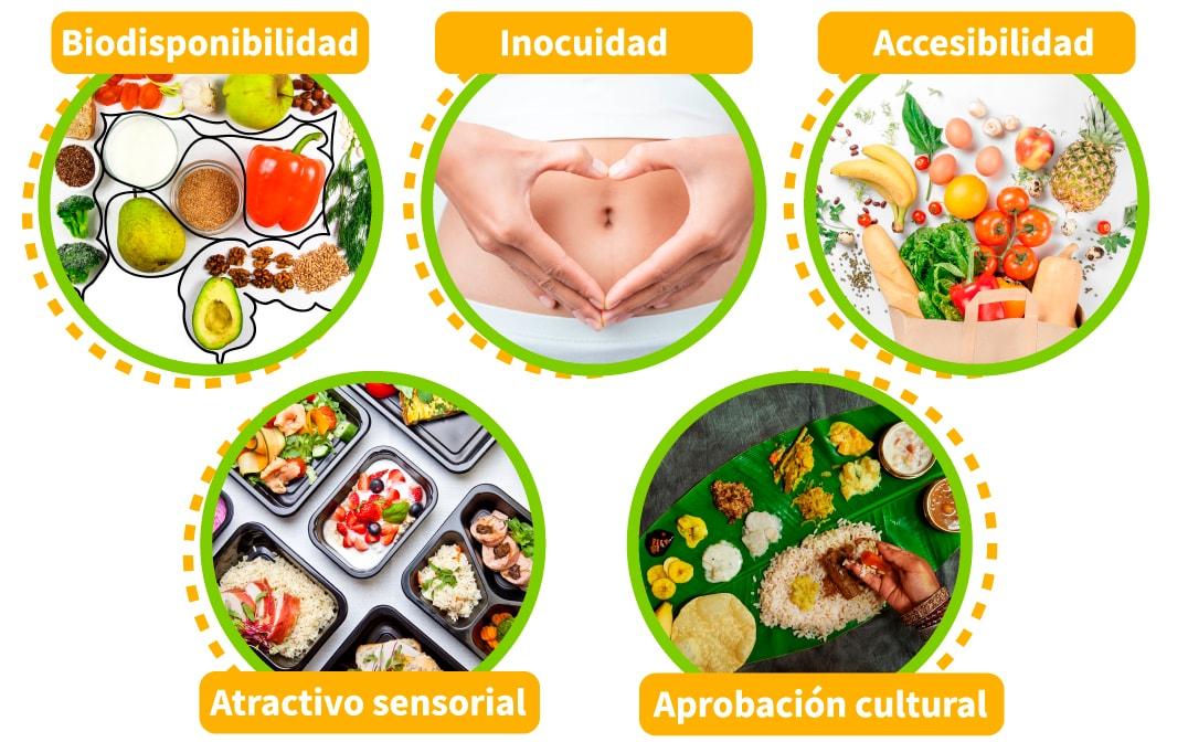 esquema del conjunto de caracteristicas que tienen las dietas