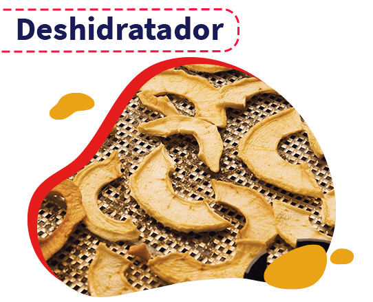 Deshidratador