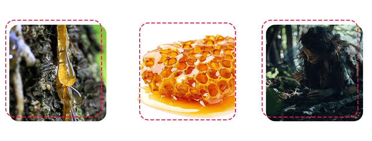 Esquema repostería en la prehistoria