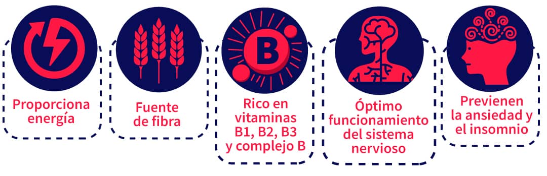 iconos vitaminas y minerales