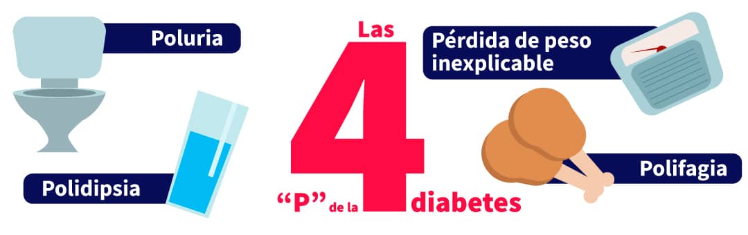 inodoro, agua, pollo y báscula