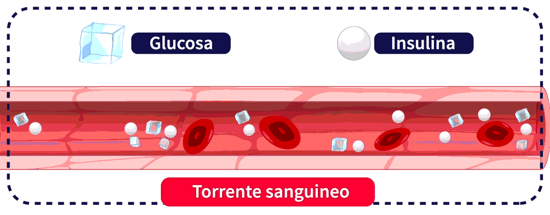 ilustración glucosa e insulina
