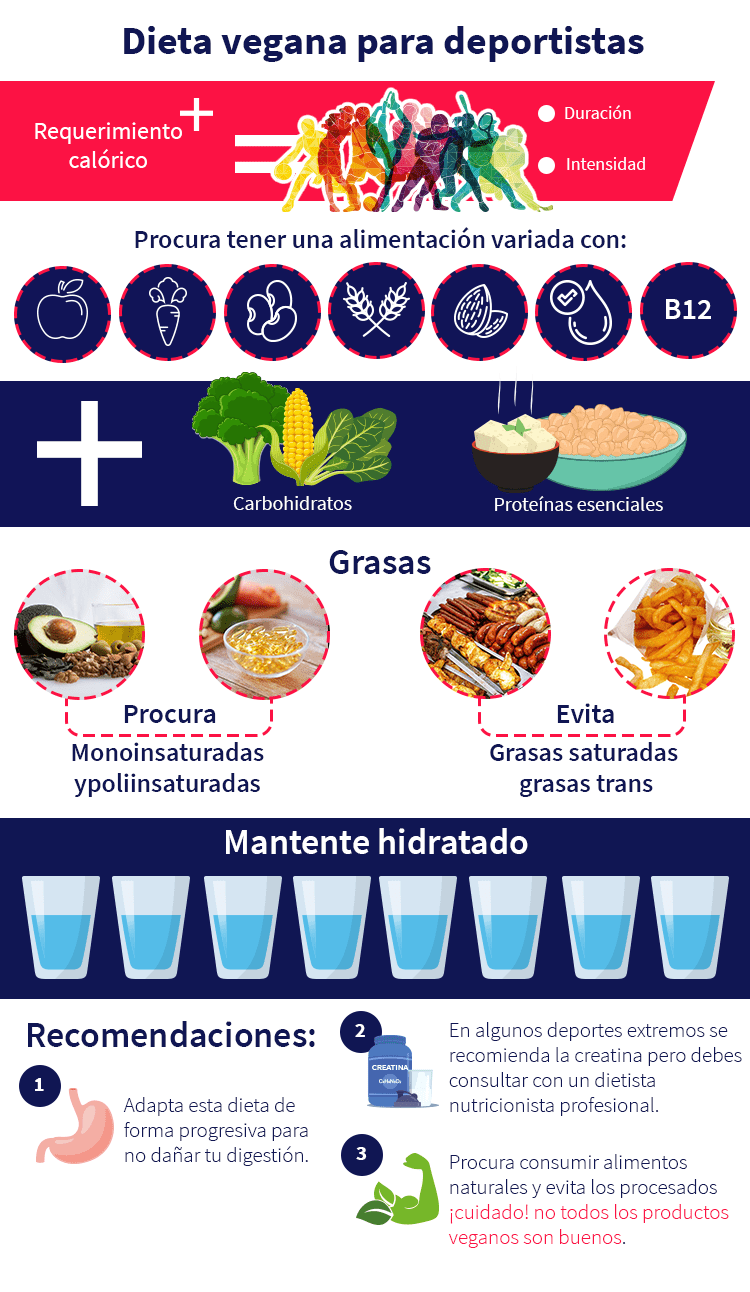 Dieta vegana para deportistas, conoce todo en Aprende Insitute