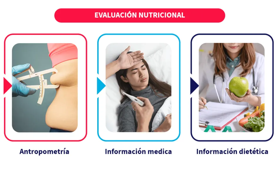 cuadro que demuestra la evolución nutricional