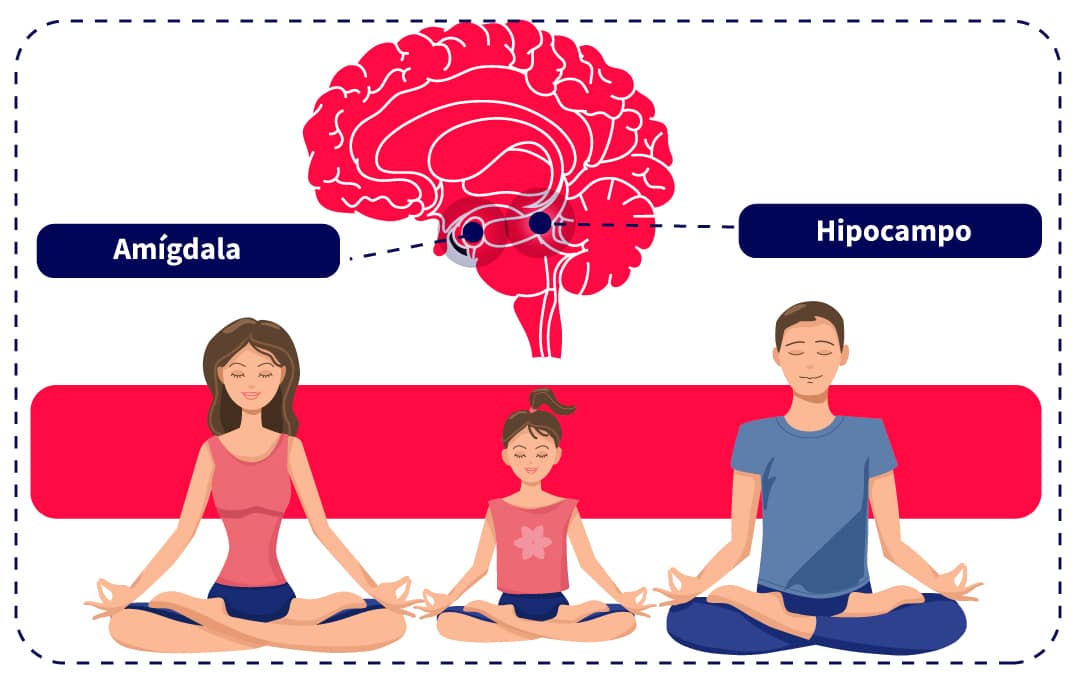 la meditacion contribuye a mejorar tu memoria y a regular las emociones en tu cuerpo