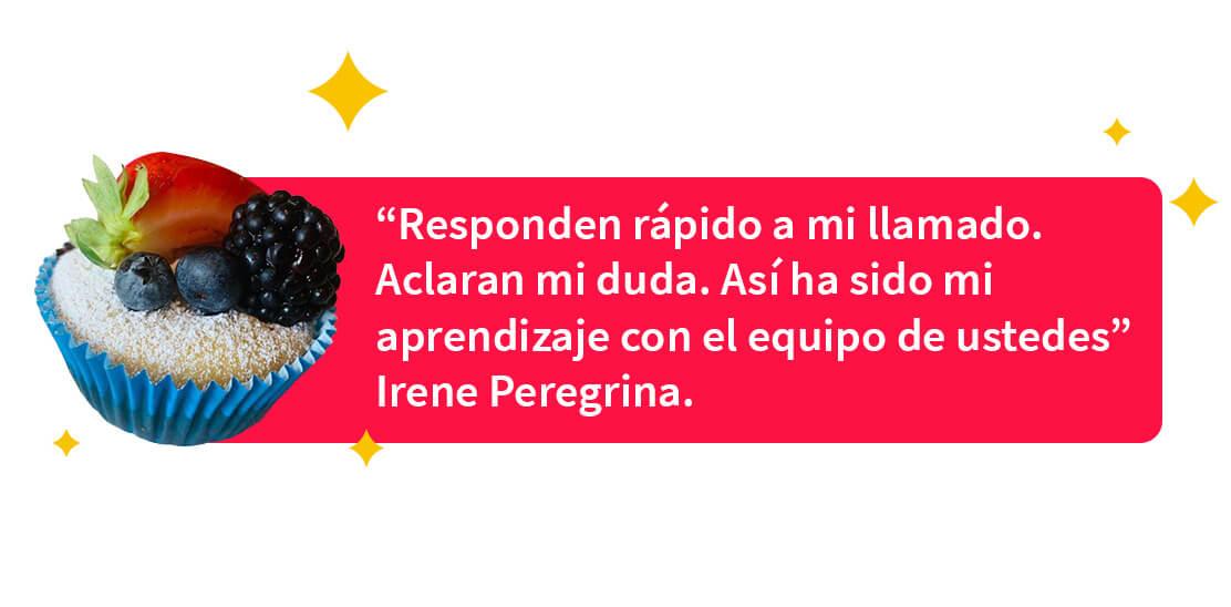 Testimonio de Irene Peregrina sobre lo que Aprende Institute aportó en su vida
