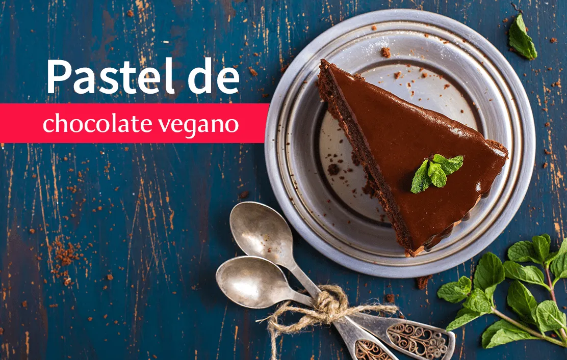 porcion de pastel de chocolate sobre un plato