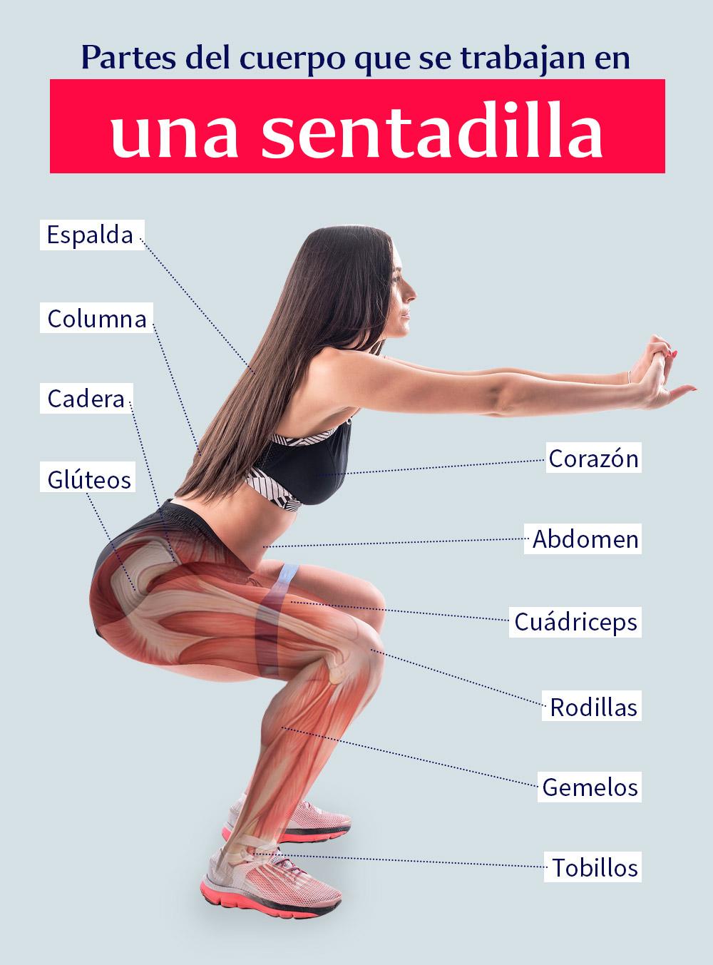 partes-del-cuerpo-que-se-trabajan-en-una-sentadilla