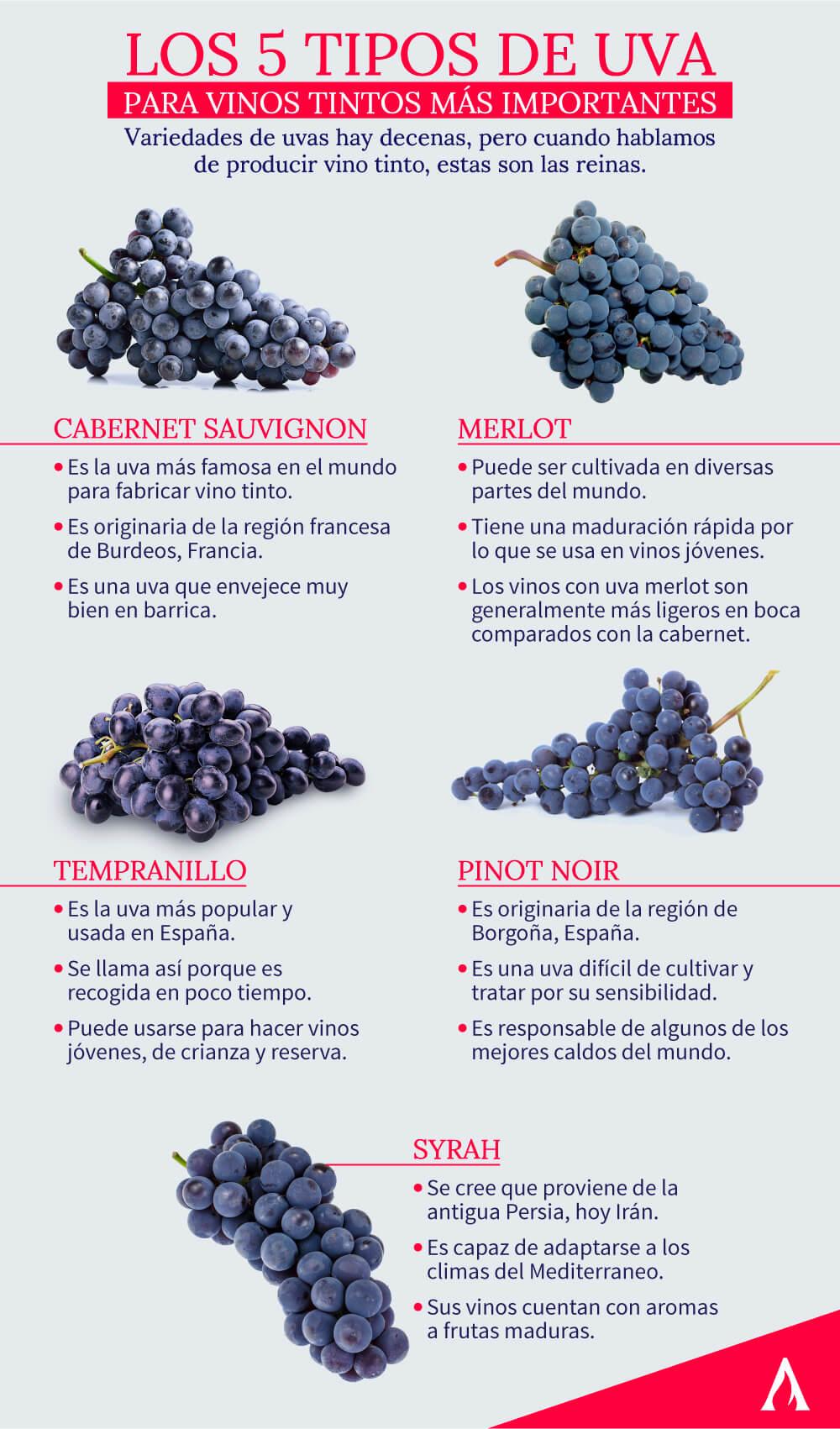 tipos-de-uva-para-vinos-tintos