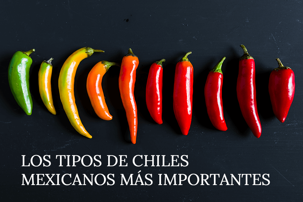 7-tipos-de-chiles-mexicanos