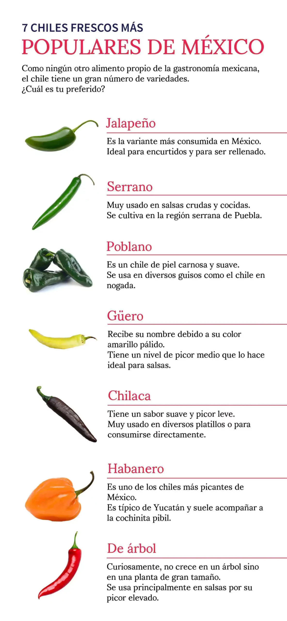 infografia de 7 chiles frescos mas populares de mexico