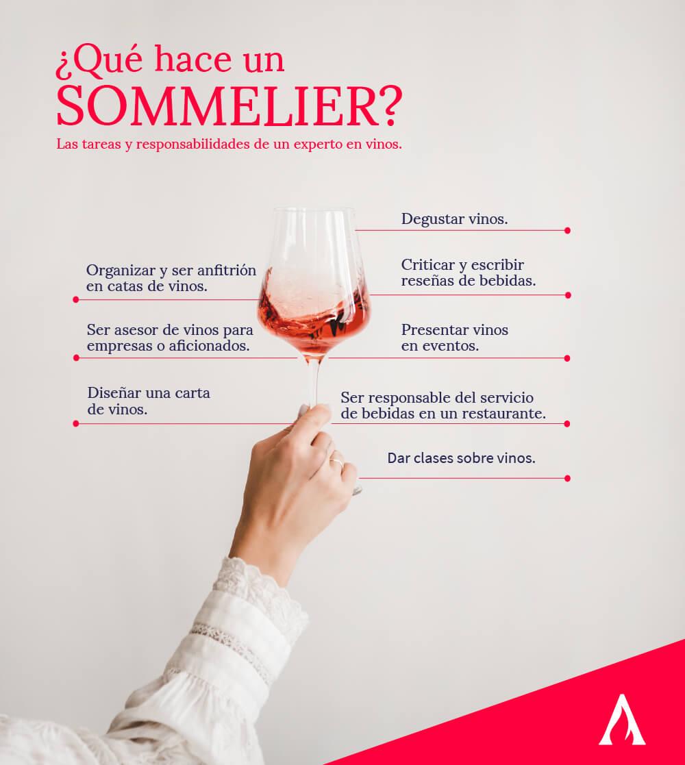 que-hace-sommelier-infografia