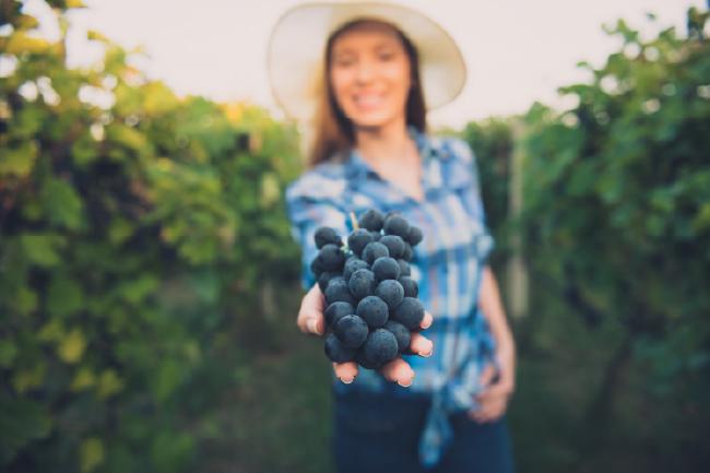 conoce-porque-el-vino-no-es-vegano