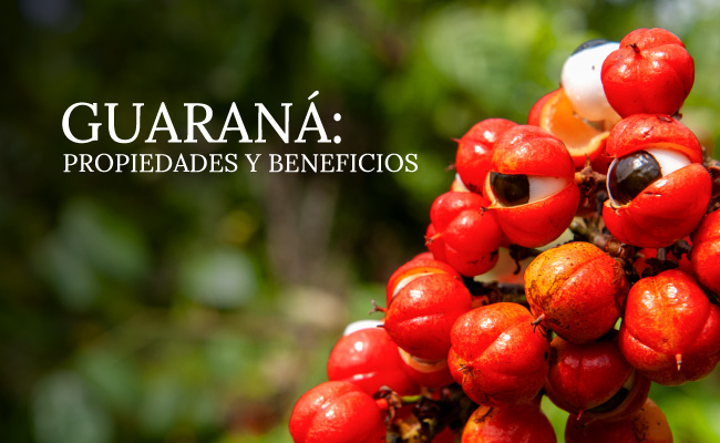 guarana-propiedades-y-beneficios