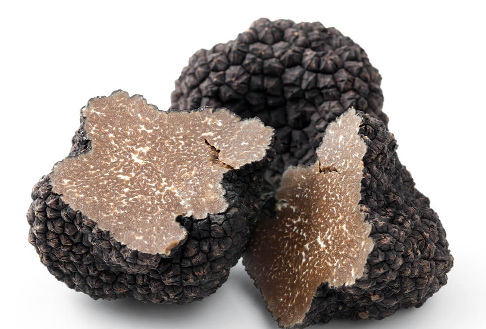 trufa-negra