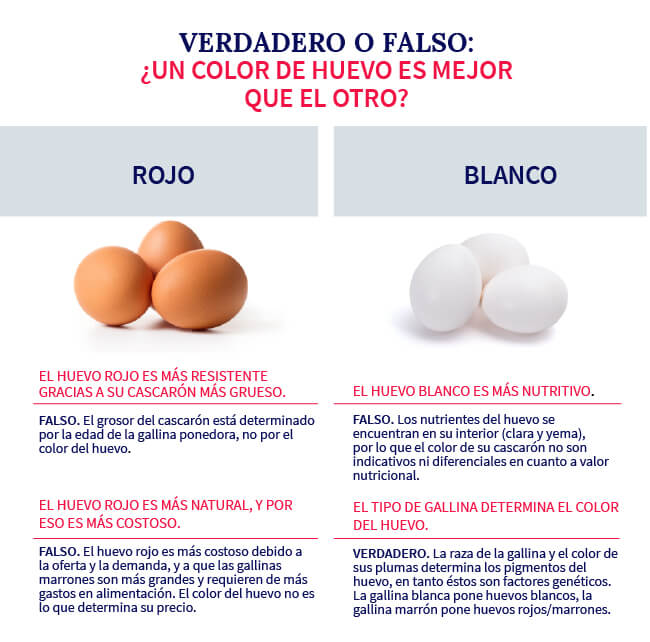 un-color-de-huevo-es-mejor-que-el-otro