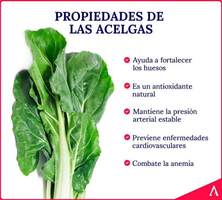 propiedades-de-las-acelgas