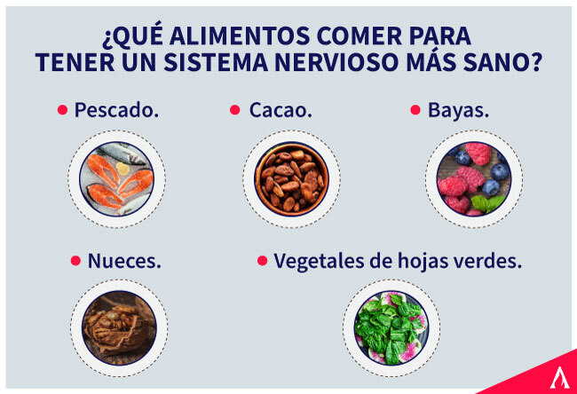 que-alimentos-comer-para-tener-un-sistema-nervioso-mas-sano