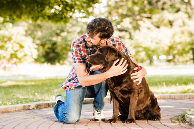 como-educar-a-tu-perro-para-que-te-defienda