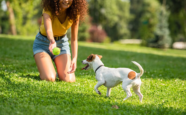 pasear-perro-sin-correa