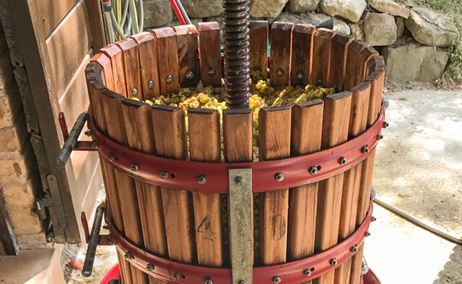 tanda de uvas blancas en proceso de maceración dentro de una bodega