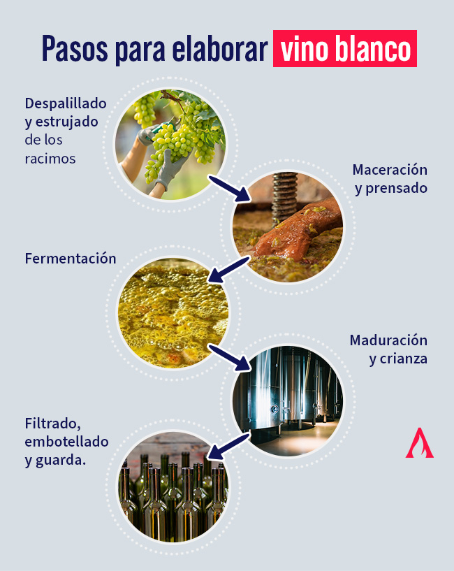 pasos para la elaboracion del vino blanco